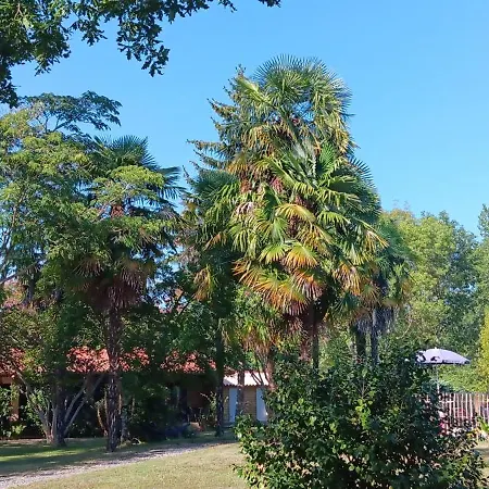 Prázdninový dům Au Moulin Du Comte - En Bourrouillan