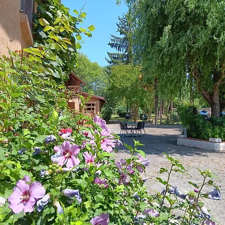 Au Moulin Du Comte - En Prázdninový dům