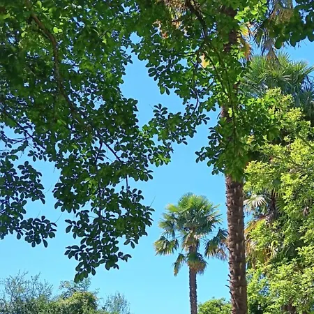 Au Moulin Du Comte - En Prázdninový dům Bourrouillan