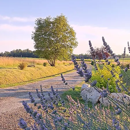 Au Moulin Du Comte - En Prázdninový dům Bourrouillan