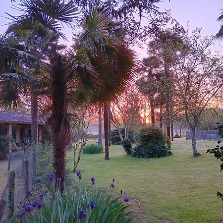 Au Moulin Du Comte - En