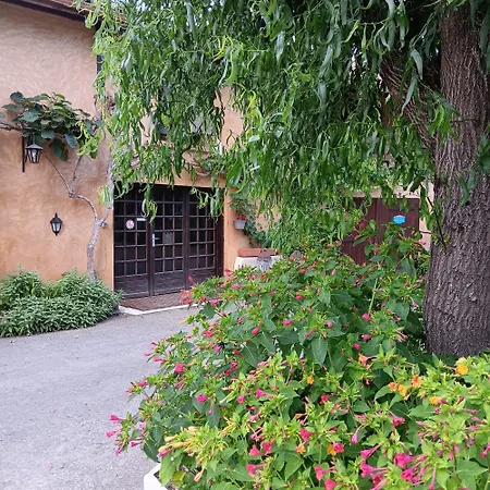 Holiday home Au Moulin Du Comte - En Bourrouillan