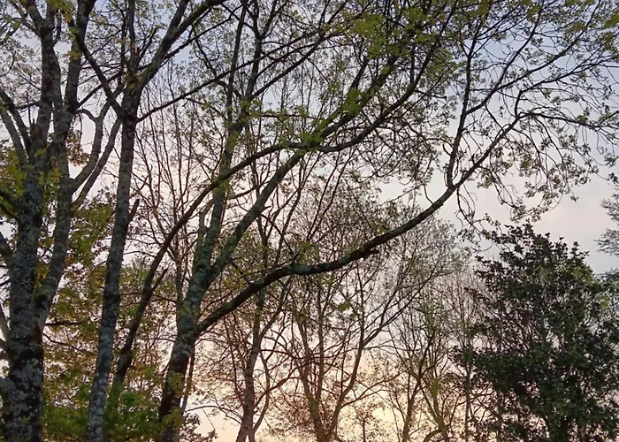 Dom wakacyjny Le Moulin Du Comte - En *