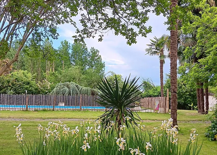 Holiday home Le Moulin Du Comte - En Bourrouillan