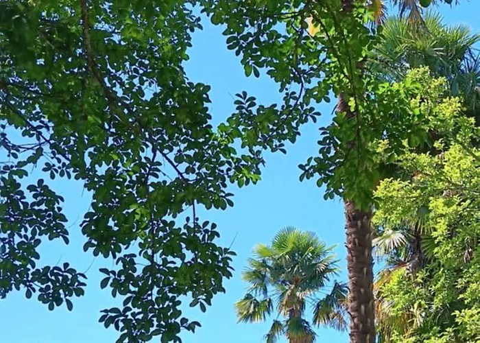 Le Moulin Du Comte - En Holiday home Bourrouillan