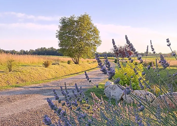 Le Moulin Du Comte - En Dom wakacyjny Bourrouillan