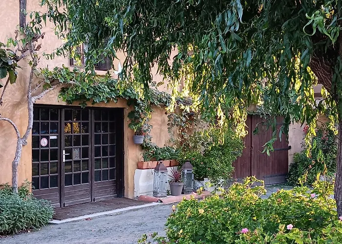 Le Moulin Du Comte - En * Bourrouillan